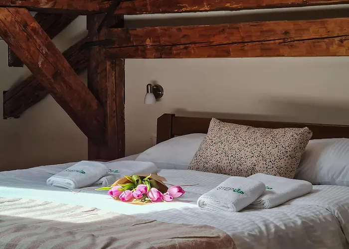 Hotels in Downtown Kotor