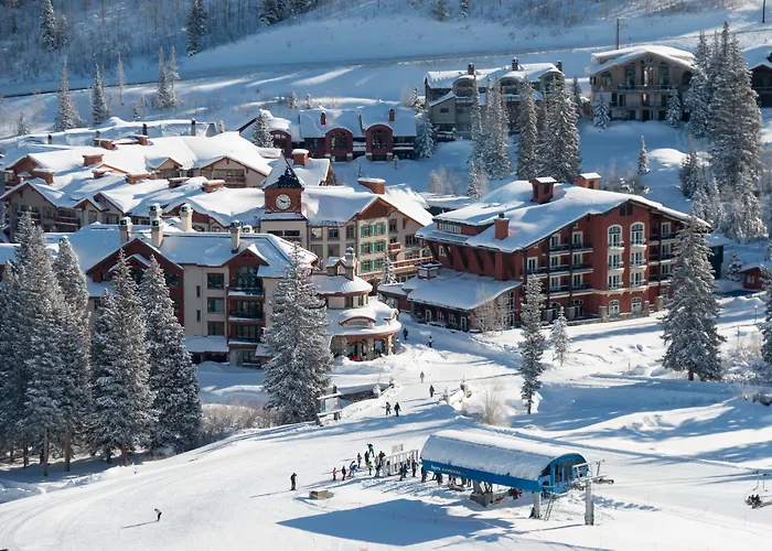 Hotels in Downtown Solitude