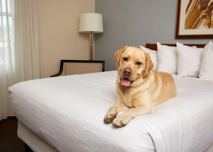 Hotels in Downtown Staunton