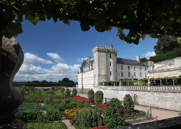 Hotels in Downtown Tours